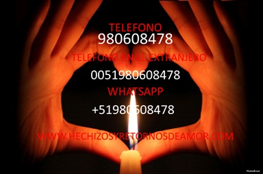 hechizos de amor efectivos con laurel